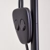 Barbengo Floor Lamp brown, black, 2-light sources