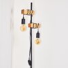 Barbengo Floor Lamp brown, black, 2-light sources