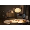 Philips HUE AMBIANCE WHITE & COLOR FLOURISH Pendant Light LED white, 1-light source, Colour changer