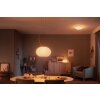 Philips HUE AMBIANCE WHITE & COLOR FLOURISH Pendant Light LED white, 1-light source, Colour changer