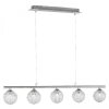 Paul Neuhaus WOMBLE Pendant Light stainless steel, 5-light sources