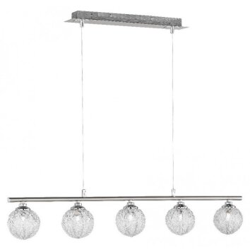 Paul Neuhaus WOMBLE Pendant Light stainless steel, 5-light sources