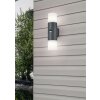 Trio HOOSIC Outdoor Wall Light anthracite, 2-light sources, Motion sensor