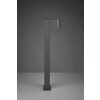 Trio ROYA path light anthracite, 1-light source