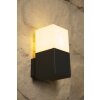 Trio HUDSON outdoor wall lamp black, 1-light source