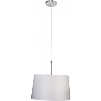 Steinhauer GRAMINEUS hanging light stainless steel, 1-light source