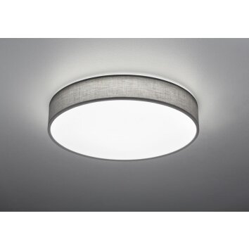 Trio LUGANO Ceiling light LED grey, 1-light source, Remote control