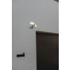 Lutec ARC Outdoor Wall Light LED white, 1-light source, Motion sensor