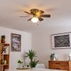 TRILLO ceiling fan matt nickel, 1-light source
