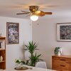 TRILLO ceiling fan matt nickel, 1-light source