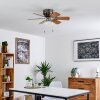 TRILLO ceiling fan matt nickel, 1-light source