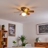 TRILLO ceiling fan matt nickel, 1-light source