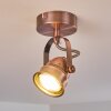 ANIAK Ceiling Light LED copper, 1-light source