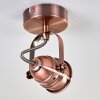ANIAK Ceiling Light LED copper, 1-light source