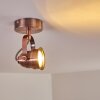ANIAK Ceiling Light LED copper, 1-light source