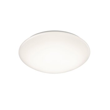 Ceiling Light Reality POLLUX LED white, 1-light source, Motion sensor