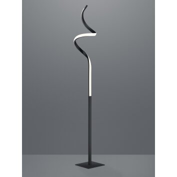 Reality COURSE Floor Lamp LED black, 1-light source