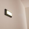 ALKMAAR Outdoor Wall Light LED anthracite, 1-light source
