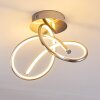 WENGI Ceiling light LED matt nickel, 1-light source