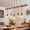SEEGAARD Pendant Light black, 5-light sources