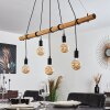 SEEGAARD Pendant Light black, 5-light sources