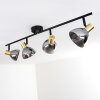 Mariefred Ceiling Light black, 4-light sources
