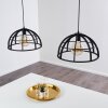 Ballarat Pendant Light black, 2-light sources