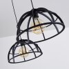 Ballarat Pendant Light black, 2-light sources