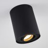 Quimper Ceiling Light black, 1-light source