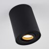 Quimper Ceiling Light black, 1-light source
