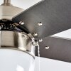 ELLMAU ceiling fan chrome, grey, white, 1-light source