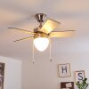 ELLMAU ceiling fan chrome, grey, white, 1-light source