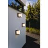 Lutec ARMOR Outdoor Wall Light LED anthracite, 1-light source