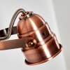 ANIAK Wall Light LED copper, 1-light source