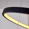 Canisteo Pendant Light LED black, 2-light sources