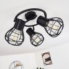 GAINESVILLE Ceiling Light black, 3-light sources