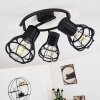 GAINESVILLE Ceiling Light black, 3-light sources
