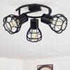 GAINESVILLE Ceiling Light black, 3-light sources