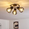GAINESVILLE Ceiling Light black, 3-light sources