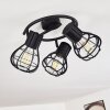 GAINESVILLE Ceiling Light black, 3-light sources