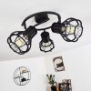 GAINESVILLE Ceiling Light black, 3-light sources