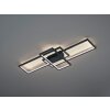 Trio THIAGO Ceiling Light LED anthracite, 1-light source, Remote control, Colour changer