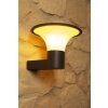 Trio KONGO outdoor wall lamp black, 1-light source