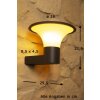 Trio KONGO outdoor wall lamp black, 1-light source
