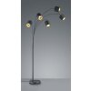 Reality TOMMY Floor Lamp black, 5-light sources