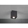 Ceiling Light Trio Leuchten BISCUIT black, 1-light source