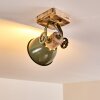 Orny Ceiling Light green, 1-light source