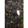 Lutec Explorer Garden Spotlight LED anthracite, 1-light source