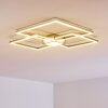 Narpes Ceiling Light LED matt nickel, 1-light source