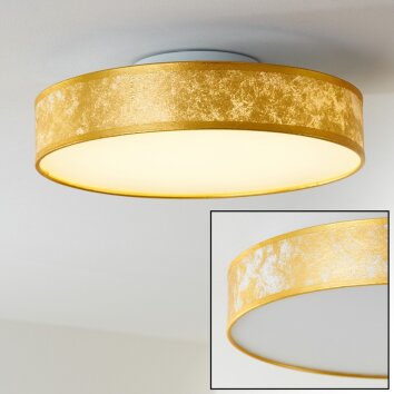 Victoria ceiling light LED white, 1-light source